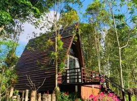 Suoi Rao Ecolodge