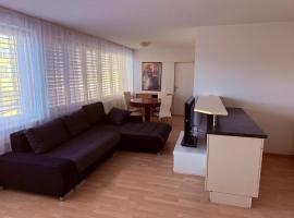 SASS APARTHOTEL, hotel v destinaci Schönenwerd