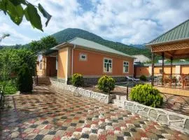Pastar Dream House