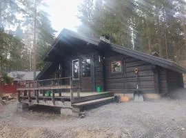 Ahti's Cabin