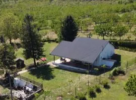 Hacienda Guster