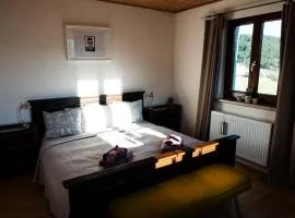 Apartment 43