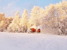 Ferienhaus im schönem historischem Ångermanland, place to stay in Sundmo