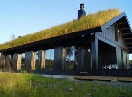 Modern cabin Hafjell high standard ski-in out
