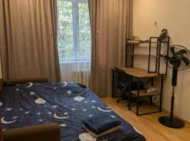 Rooms near the beautiful Park 2nd Floor