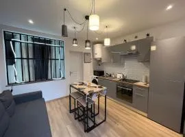 T2 Modern and Cosy in St Étienne
