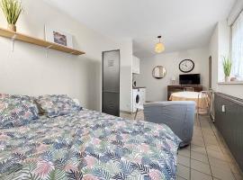 Studio Cosy & Central à Épinal, hotel in Épinal