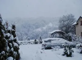 Apartment Winter Star 1