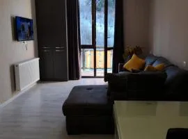 Didveli Residence D44