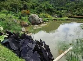 Acualandia Fish