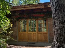 Casa Vivero