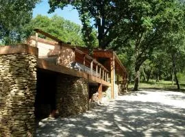 Maison bois avec piscine privée et Wifi, animaux admis - FR-1-616-447