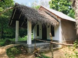 Sigiriya Coconut Shade Resort