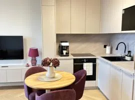 Apartament Premium Zamkowa C09