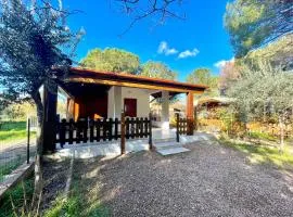 Sea Breeze Home