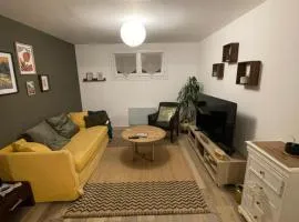 Cosy appartement jardin centre ville
