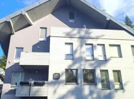 Apartmán Resident Harrachov and Wellness