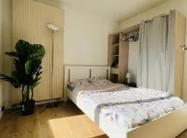 Charmant appartement en plein centre ville de Nogent sur Marne