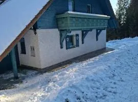 Apartma Jurček Rogla