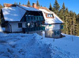 Apartma Jurček Rogla，位于Rakovec的酒店