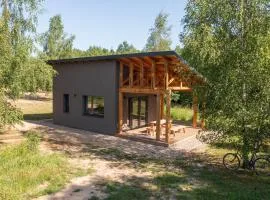 Zielona Żaba