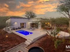 Pillows Luxury Safari Villa, Wood-Fired Hottub, Giraffe-Feeding-Tower, Large Private Pool