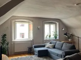 Cozy Loft