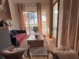 Ax 3 Domaines Plateau de Bonascre Charmant duplex face aux pistes avec terrasse