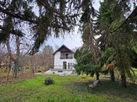 Vikendica u Banoštoru