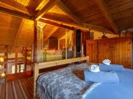 Beetle Villa retro country house