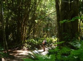 Starlight Olympic Glamping, luxusní stan v destinaci Port Angeles