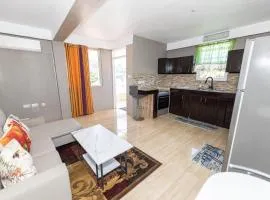 Roseau Canefield Apartment with Full Kitchen Air Conditioning and Wi-Fi Close to town