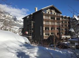 Hotel des Alpes, Hotel in Flims