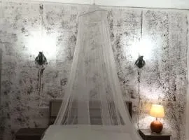Studio Le Palmiste