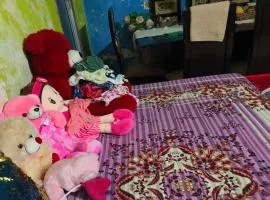 Vimla Prakash Homes