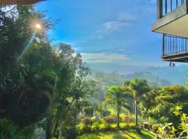 Villa Shungite