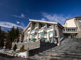 Hotel Alexandros Busteni by Genco & Restaurant Miorita，布希坦尼的飯店