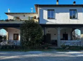 Le camelie 2 di Francesca