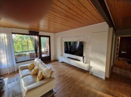 Spacious 200 m2 house, Hotel in Kuopio