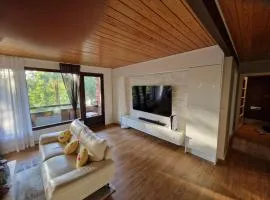 Spacious 200 m2 house