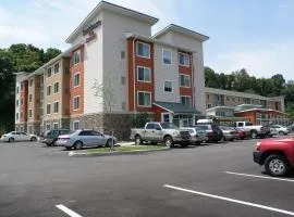 Residence Inn Pittsburgh Monroeville/Wilkins Township
