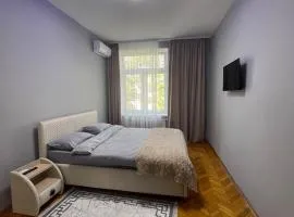 Good Apartments in Cetrum
