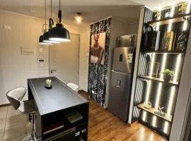 Furnished apartment Puerto Montt
