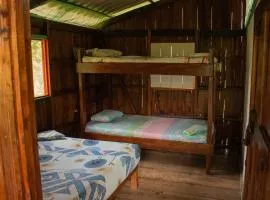 hostal herping bahia solano tour