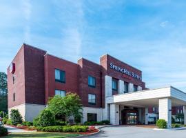 SpringHill Suites Statesboro University Area, hotel poblíž Statesboro-Bulloch County - TBR, Statesboro