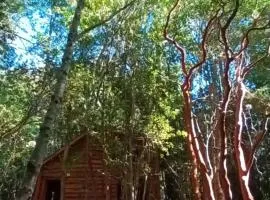 Cabaña Arrayan