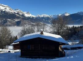 Charmant petit chalet cosy, hotel en Combloux