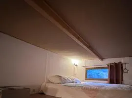 Tiny house au coeur de la foret