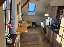 Apartmány Karolína - Kašperské Hory