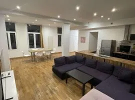 Appart 7 personnes centre-ville